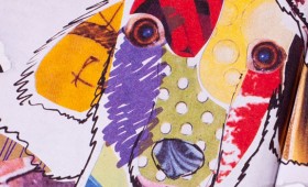 Indigo Wild 2011 Catalog