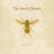 The Meaning Hidden in Bee Anatomy