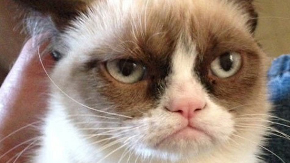 New Design. Same old crappy blogging…. New Design. Same old crappy blogging….